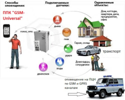 ��������� �����������. ����� ���. ����� ���