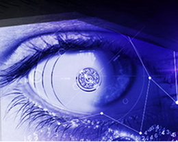 WD Purple - ������� ����� ��� ���������������. WD Purple - ������� ����� ��� ���������������
