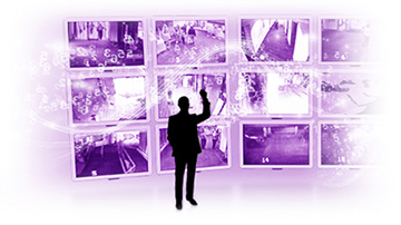 WD Purple - ������� ����� ��� ���������������. WD Purple - ������� ����� ��� ���������������